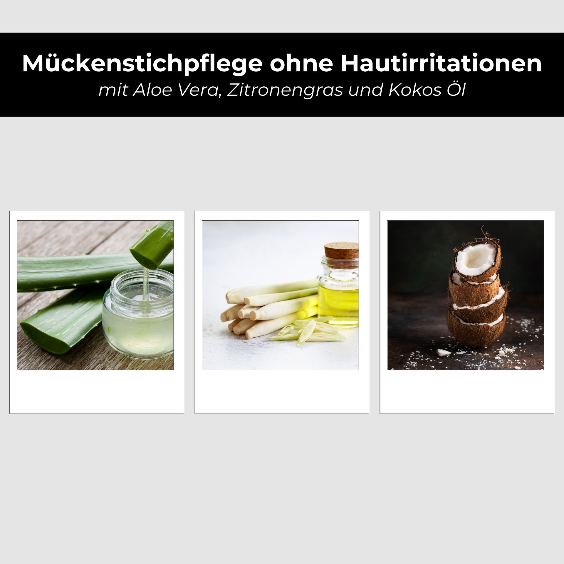 Essen, Obst, Pflanze, Produzieren